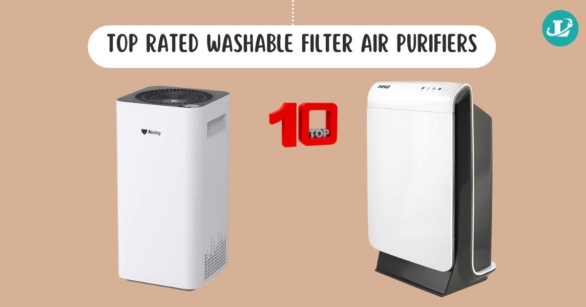 Top Rated Washable Filter Air Purifiers