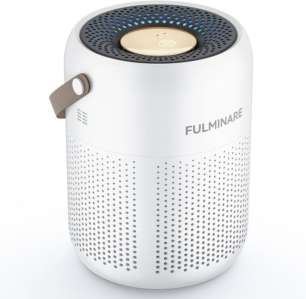 64f6b50e62307 FULMINARE Air Purifiers for Bedroom