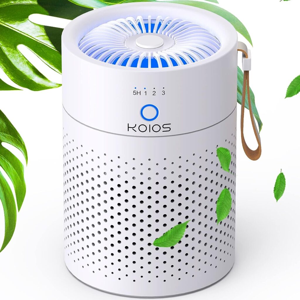 64f86355132d1 Air Purifiers for Bedroom Home